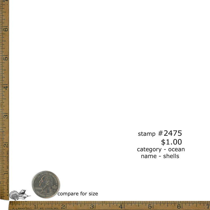 #2475 - Shells - Ocean